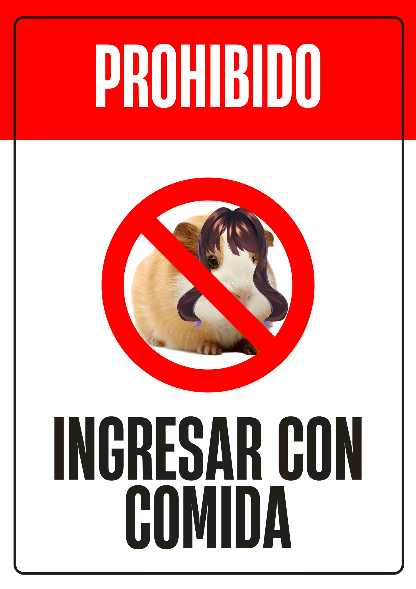 Edición XV